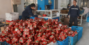 Workers operating a high-speed carton folding machine, forming and stacking Christmas boxes, with a large pile of finished Christmas boxes accumulating.