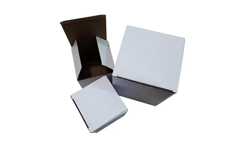 Tuck End Box (STE/RTE)