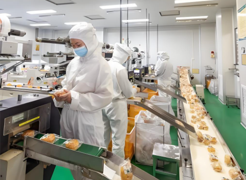 Food factory production line for cookie cartoning, workers manually pack individually wrapped biscuits into hot melt glue sealed cartons before automatic cookie cartoning machine installation, food packaging workshop with conveyor belts and manual packaging stations, showing labor-intensive secondary packaging workflow for retail cookie boxes