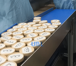 Workers place ice cream cups onto blue modular conveyor belt, front feeding section of automatic ice cream cartoning production line, food hygiene workshop scene