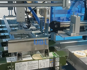 Automatic ice cream cartoning machine station, UBL food packaging equipment auto loads ice cream cups into pre-folded cartons, food-grade stainless steel cartoner for frozen dessert production line