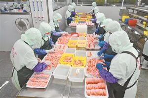 Frozen Food Cartoning Machine application scene, meat processing factory production line, workers sorting raw meat products ready for automatic carton packing equipment