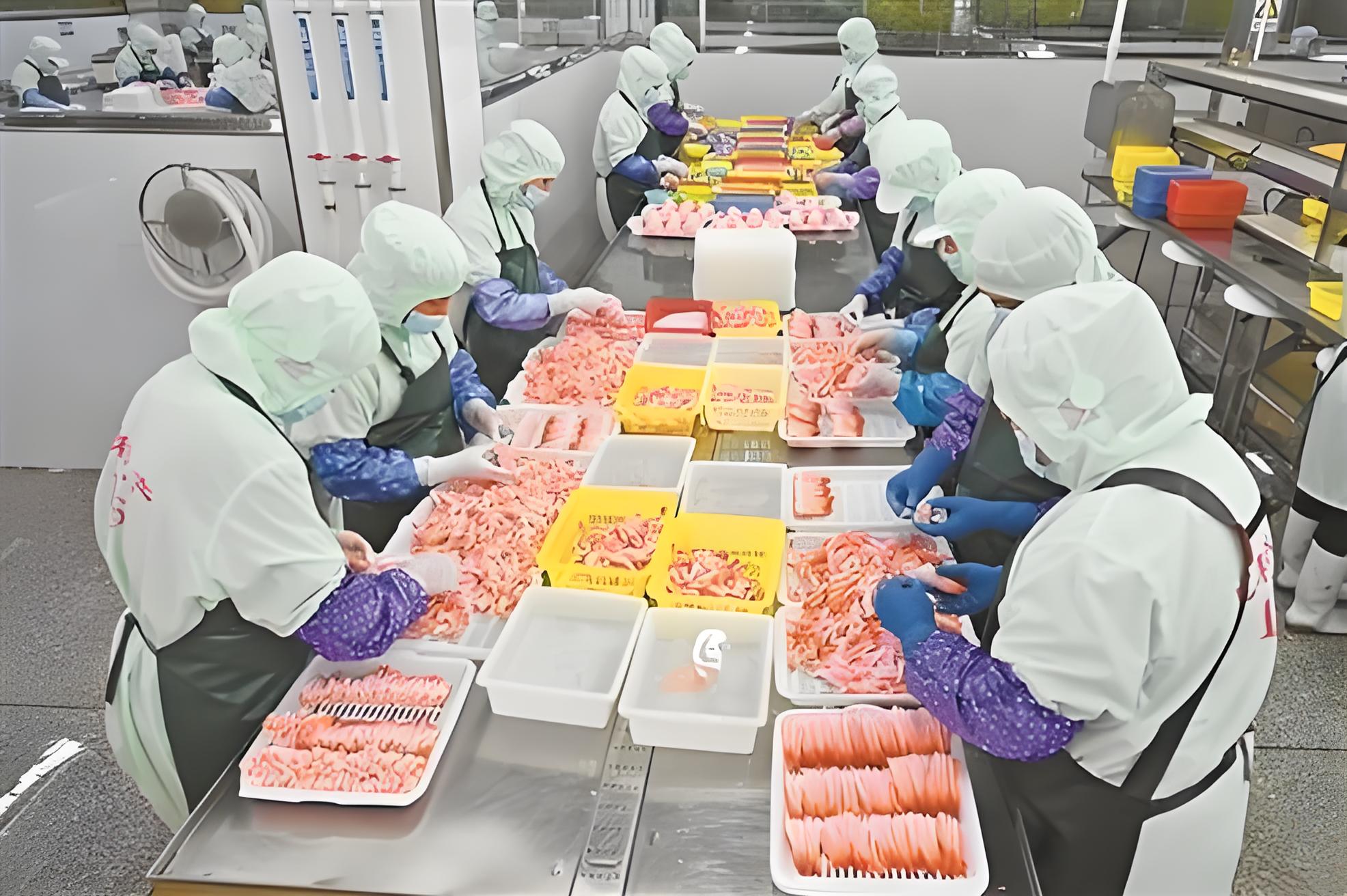 Frozen Food Cartoning Machine application scene, meat processing factory production line, workers sorting raw meat products ready for automatic carton packing equipment